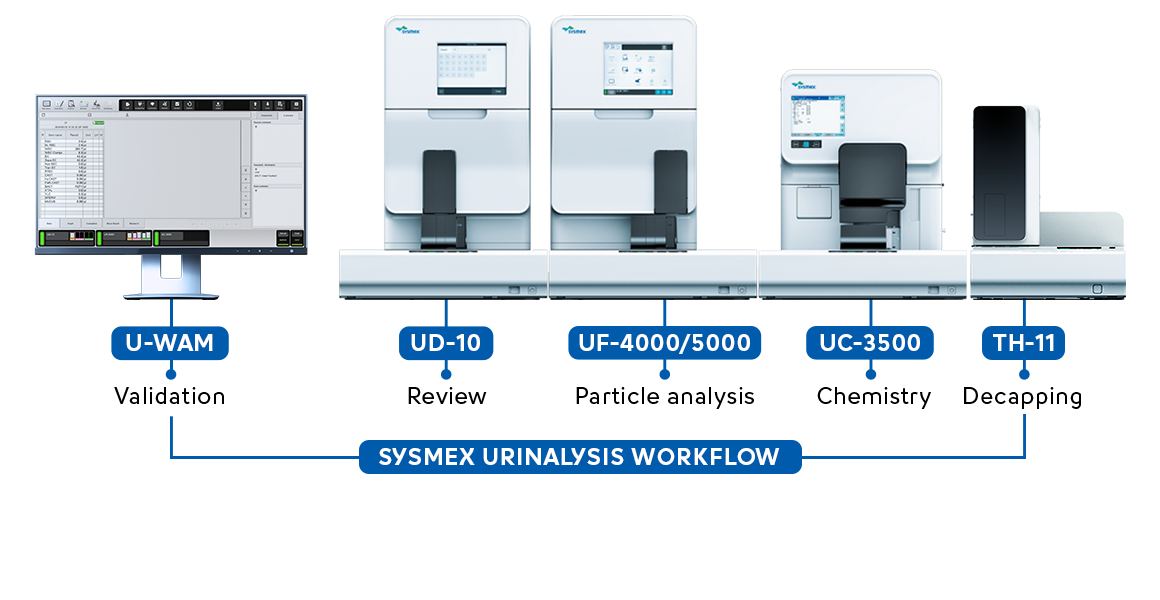 [.KE Kenya (english)] Sysmex urinalysis workflow (fully automated)